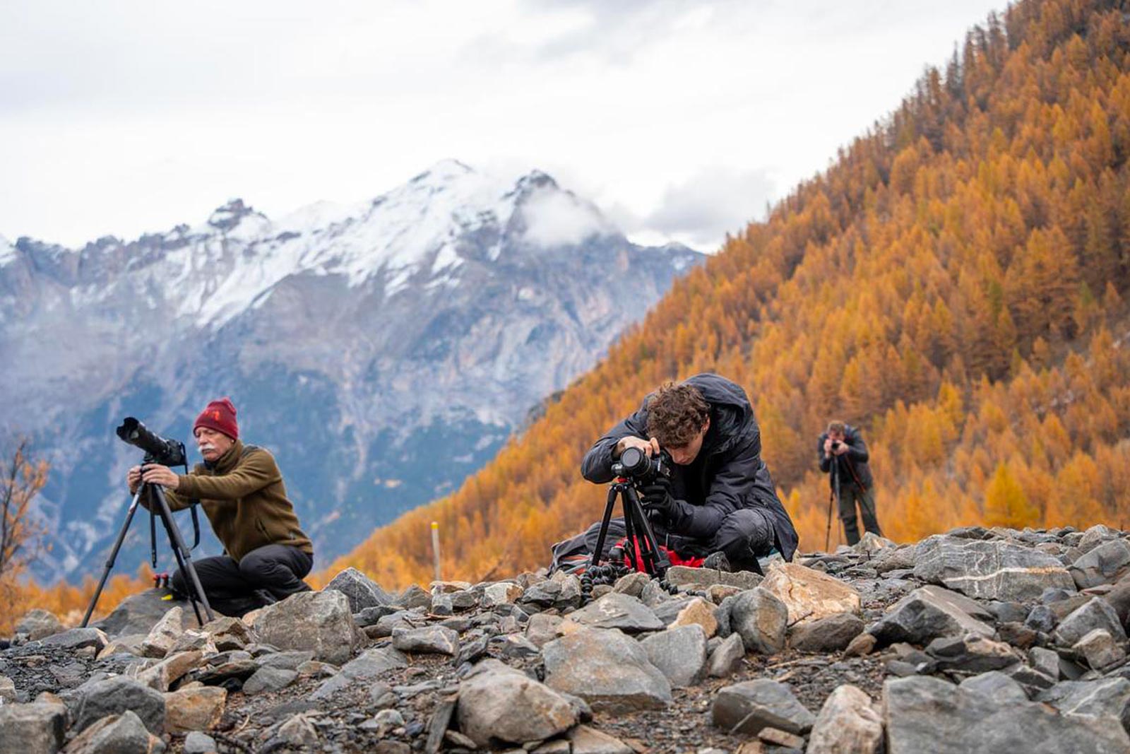 Camp Base Découverte Photo : A la rencontre du méléze d'or